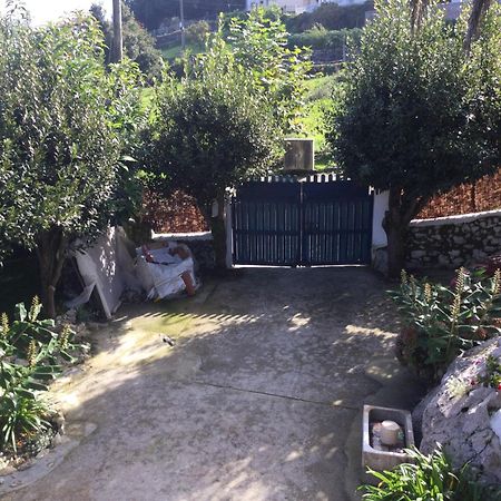 Casa Jardin Rocablanca Llanes Villa Celorio  Kültér fotó