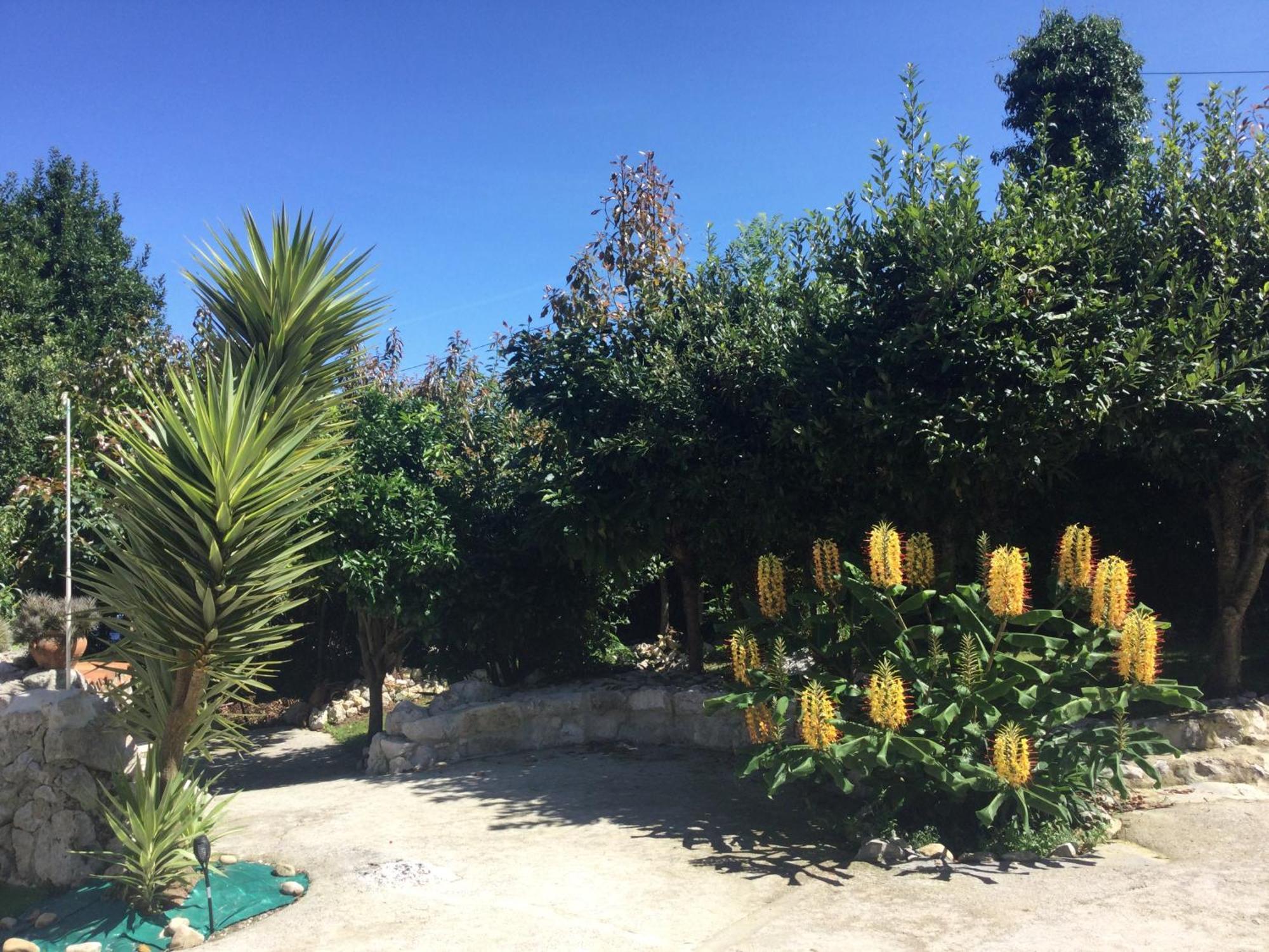 Casa Jardin Rocablanca Llanes Villa Celorio  Kültér fotó