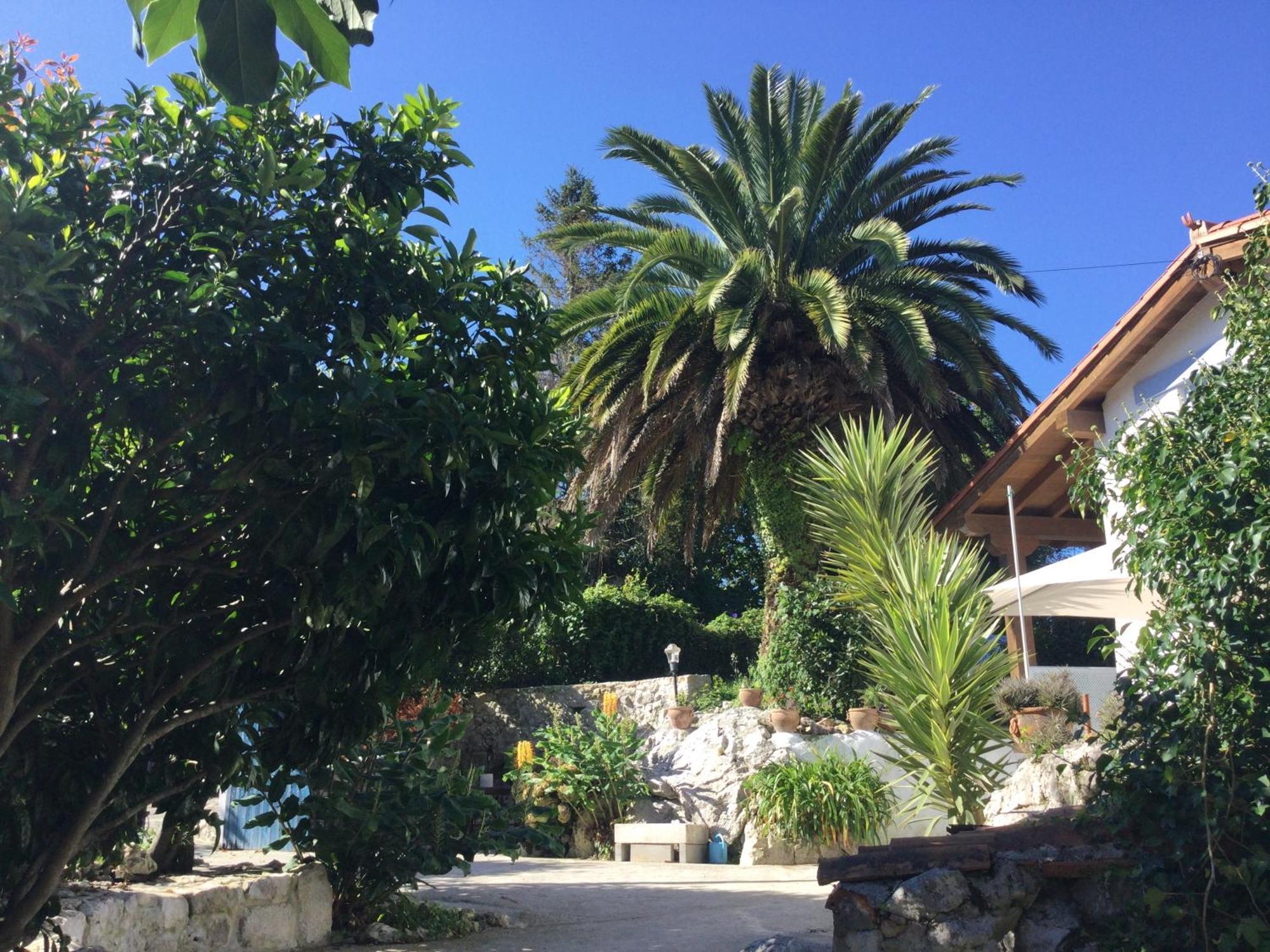 Casa Jardin Rocablanca Llanes Villa Celorio  Kültér fotó