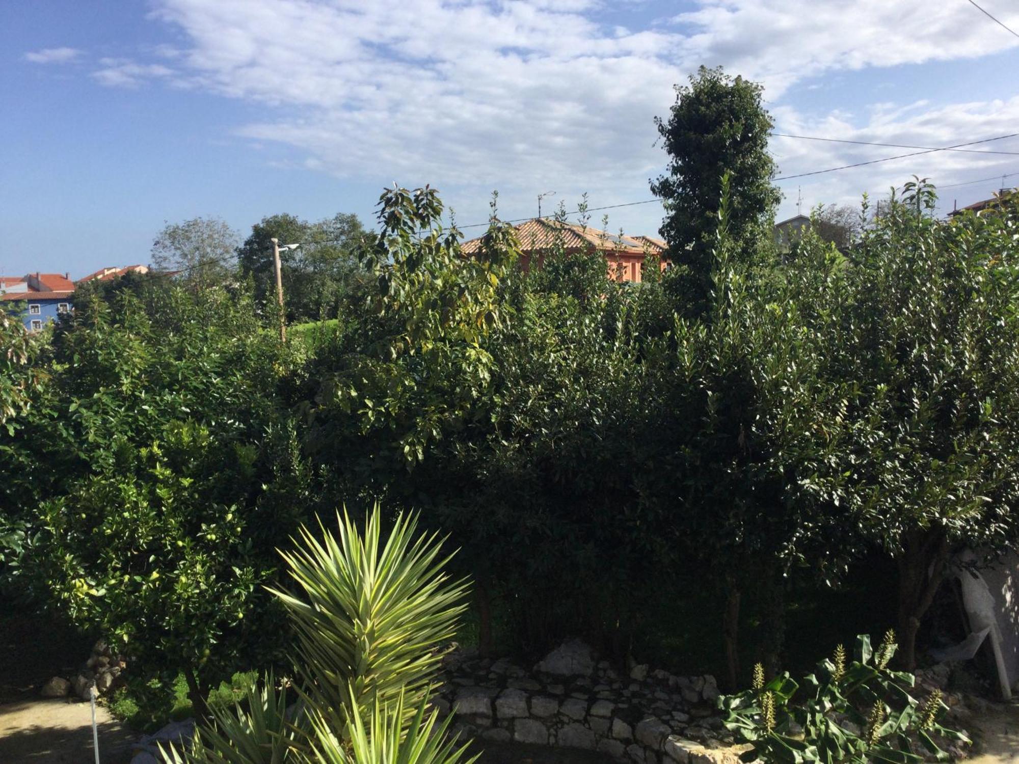 Casa Jardin Rocablanca Llanes Villa Celorio  Kültér fotó